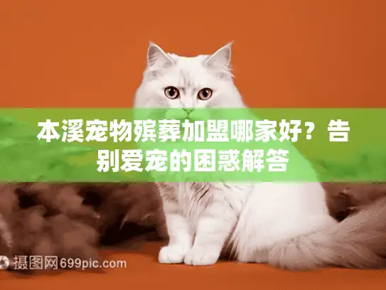本溪宠物殡葬加盟哪家好？告别爱宠的困惑解答