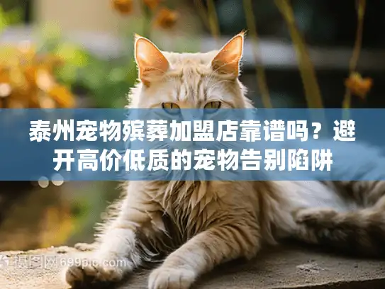 泰州宠物殡葬加盟店靠谱吗？避开高价低质的宠物告别陷阱