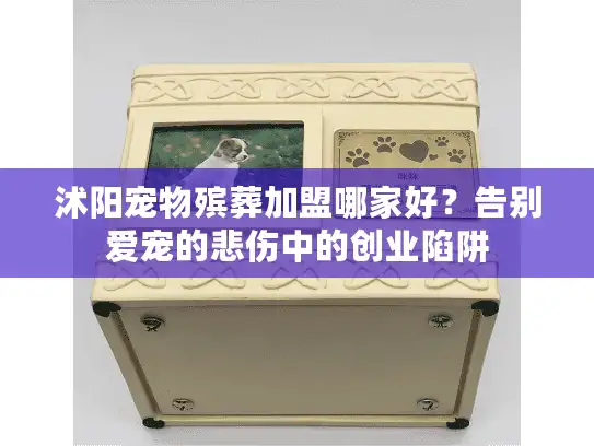 沭阳宠物殡葬加盟哪家好？告别爱宠的悲伤中的创业陷阱