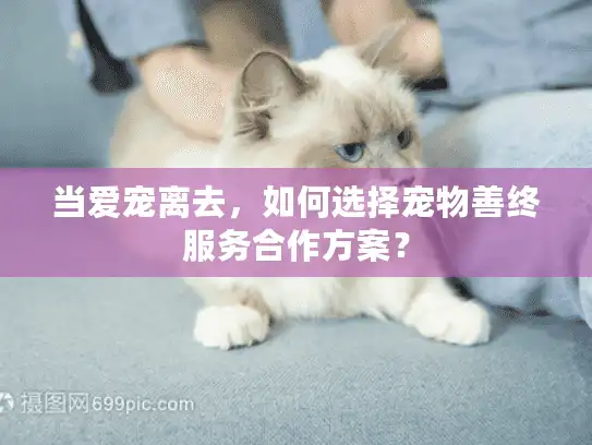 当爱宠离去，如何选择宠物善终服务合作方案？
