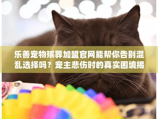 乐善宠物殡葬加盟官网能帮你告别混乱选择吗？宠主悲伤时的真实困境揭秘