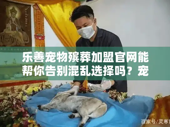 乐善宠物殡葬加盟官网能帮你告别混乱选择吗？宠主悲伤时的真实困境揭秘