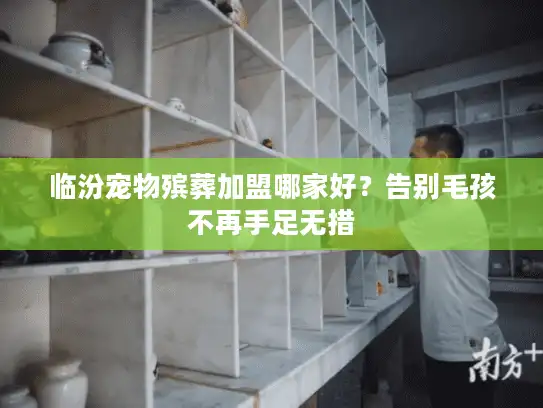 临汾宠物殡葬加盟哪家好？告别毛孩不再手足无措