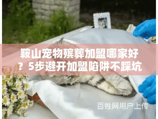 鞍山宠物殡葬加盟哪家好？5步避开加盟陷阱不踩坑