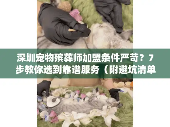 深圳宠物殡葬师加盟条件严苛？7步教你选到靠谱服务（附避坑清单）