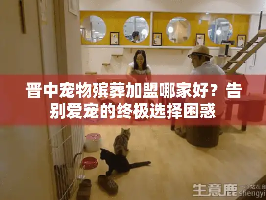 晋中宠物殡葬加盟哪家好？告别爱宠的终极选择困惑