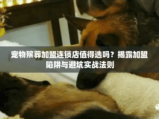 宠物殡葬加盟连锁店值得选吗？揭露加盟陷阱与避坑实战法则