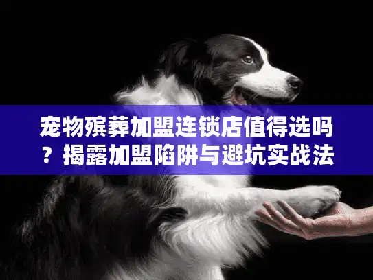 宠物殡葬加盟连锁店值得选吗？揭露加盟陷阱与避坑实战法则