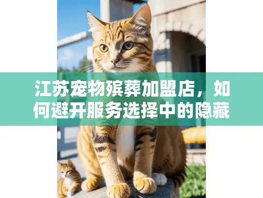 江苏宠物殡葬加盟店，如何避开服务选择中的隐藏费用陷阱？