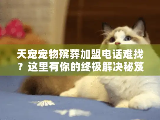 天宠宠物殡葬加盟电话难找？这里有你的终极解决秘笈！