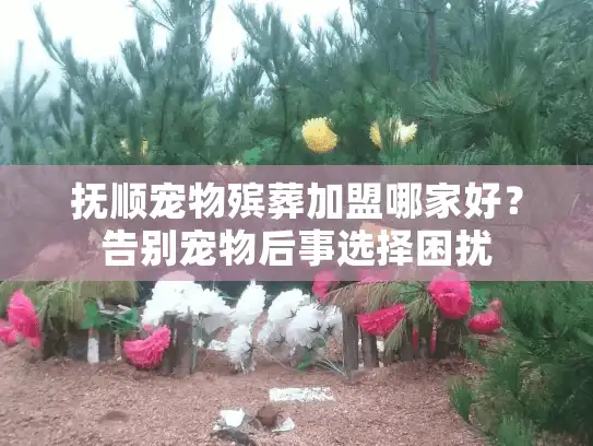 抚顺宠物殡葬加盟哪家好？告别宠物后事选择困扰