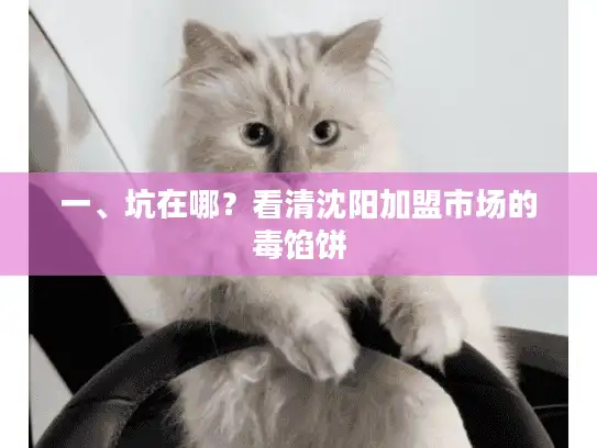 一、坑在哪？看清沈阳加盟市场的毒馅饼