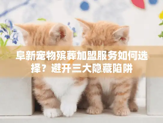 阜新宠物殡葬加盟服务如何选择？避开三大隐藏陷阱
