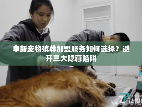 阜新宠物殡葬加盟服务如何选择？避开三大隐藏陷阱