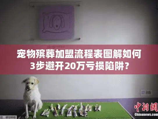 宠物殡葬加盟流程表图解如何3步避开20万亏损陷阱？