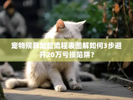 宠物殡葬加盟流程表图解如何3步避开20万亏损陷阱？