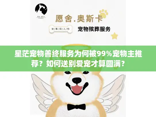 星茫宠物善终服务为何被99%宠物主推荐？如何送别爱宠才算圆满？