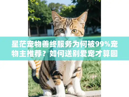 星茫宠物善终服务为何被99%宠物主推荐？如何送别爱宠才算圆满？
