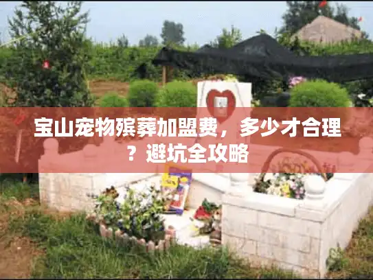 宝山宠物殡葬加盟费，多少才合理？避坑全攻略