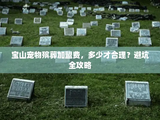 宝山宠物殡葬加盟费，多少才合理？避坑全攻略