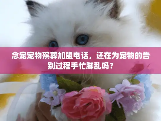念宠宠物殡葬加盟电话，还在为宠物的告别过程手忙脚乱吗？
