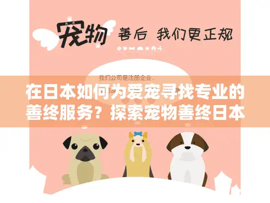 在日本如何为爱宠寻找专业的善终服务？探索宠物善终日本的贴心选择