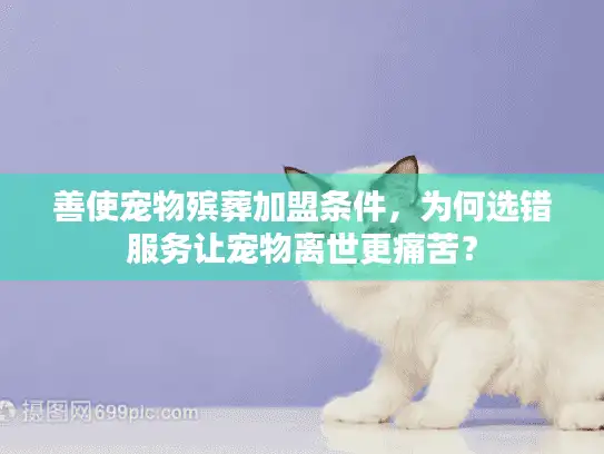 善使宠物殡葬加盟条件，为何选错服务让宠物离世更痛苦？