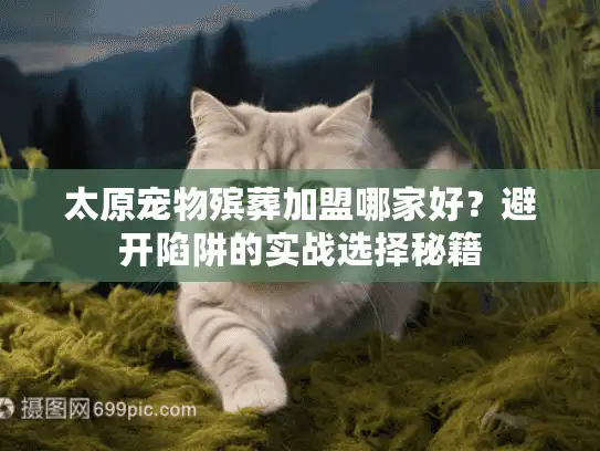 太原宠物殡葬加盟哪家好？避开陷阱的实战选择秘籍