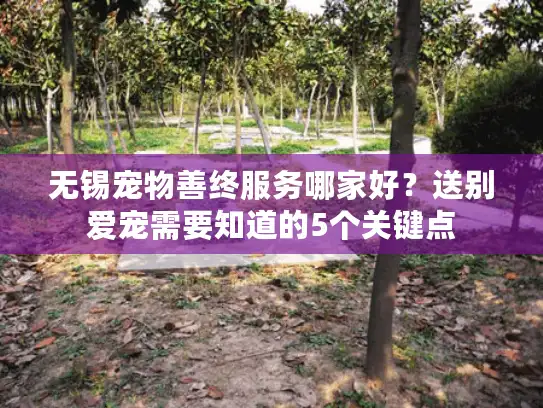 无锡宠物善终服务哪家好？送别爱宠需要知道的5个关键点