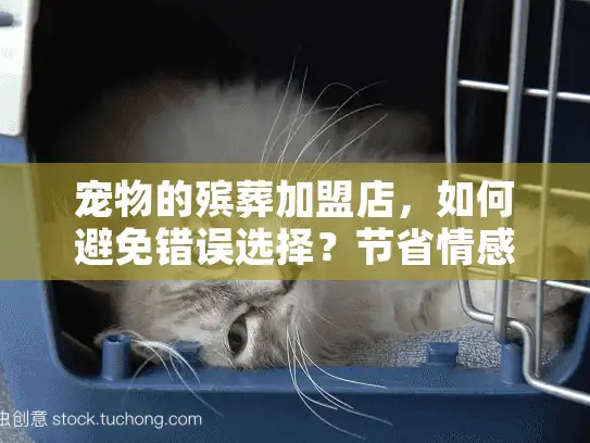 宠物的殡葬加盟店，如何避免错误选择？节省情感和金钱的实用技巧