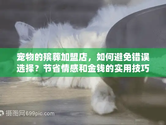 宠物的殡葬加盟店，如何避免错误选择？节省情感和金钱的实用技巧