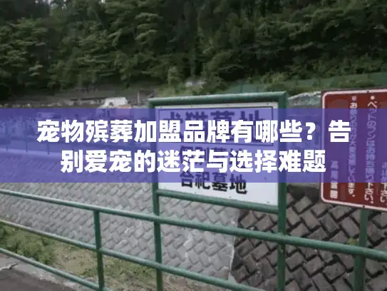 宠物殡葬加盟品牌有哪些？告别爱宠的迷茫与选择难题