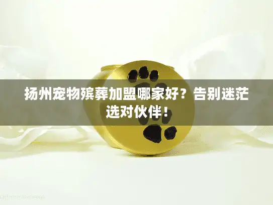 扬州宠物殡葬加盟哪家好？告别迷茫选对伙伴！