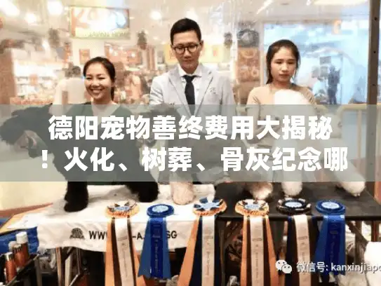 德阳宠物善终费用大揭秘！火化、树葬、骨灰纪念哪种更划算？
