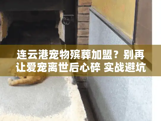 连云港宠物殡葬加盟？别再让爱宠离世后心碎 实战避坑全攻略