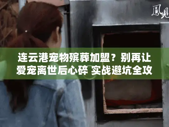 连云港宠物殡葬加盟？别再让爱宠离世后心碎 实战避坑全攻略