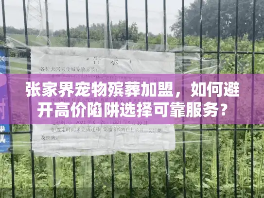 张家界宠物殡葬加盟，如何避开高价陷阱选择可靠服务？