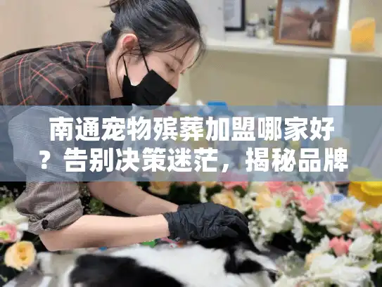 南通宠物殡葬加盟哪家好？告别决策迷茫，揭秘品牌真相