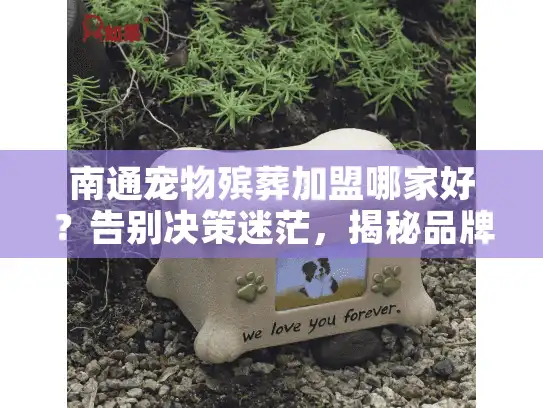 南通宠物殡葬加盟哪家好？告别决策迷茫，揭秘品牌真相