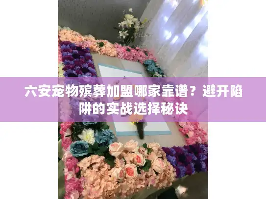 六安宠物殡葬加盟哪家靠谱？避开陷阱的实战选择秘诀