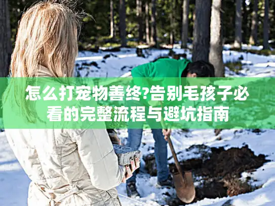 怎么打宠物善终?告别毛孩子必看的完整流程与避坑指南