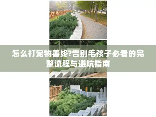 怎么打宠物善终?告别毛孩子必看的完整流程与避坑指南