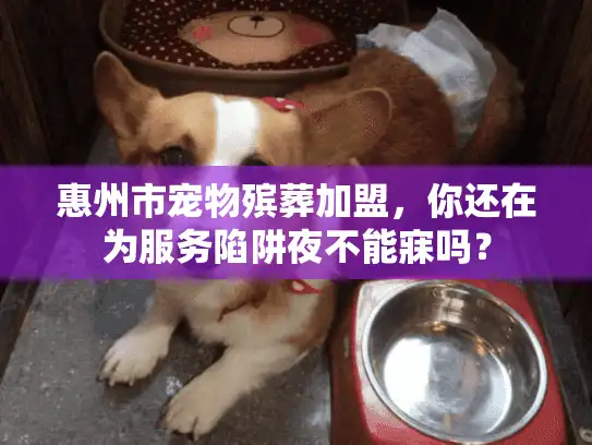 惠州市宠物殡葬加盟，你还在为服务陷阱夜不能寐吗？