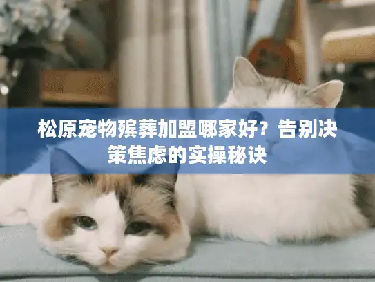 松原宠物殡葬加盟哪家好？告别决策焦虑的实操秘诀