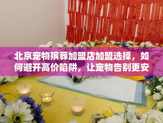 北京宠物殡葬加盟店加盟选择，如何避开高价陷阱，让宠物告别更安心？