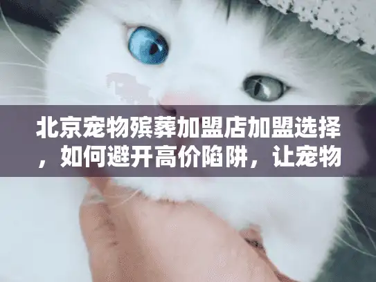 北京宠物殡葬加盟店加盟选择，如何避开高价陷阱，让宠物告别更安心？