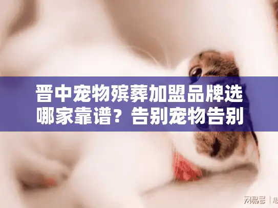 晋中宠物殡葬加盟品牌选哪家靠谱？告别宠物告别时的高价陷阱