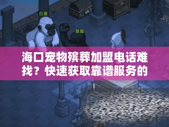 海口宠物殡葬加盟电话难找？快速获取靠谱服务的终极秘诀