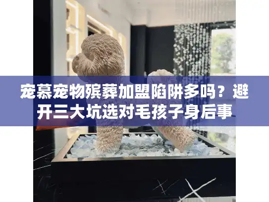 宠慕宠物殡葬加盟陷阱多吗？避开三大坑选对毛孩子身后事