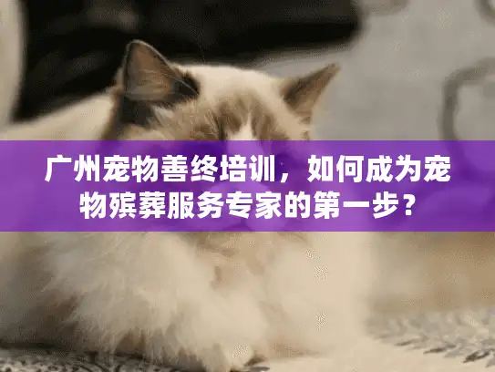 广州宠物善终培训，如何成为宠物殡葬服务专家的第一步？